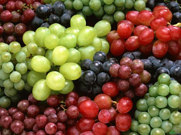 قیمت روز انواع انگور در بازار 